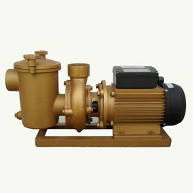 BP系列3HP铜泵/泳池循环泵/水泵