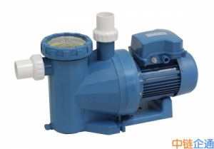 专业温泉泳池泵 AU系列 泳池水循环泵 循环水泵