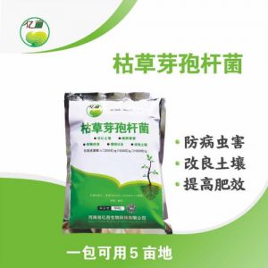 亿苗 枯草芽孢杆菌 绿色防治病害 枯草菌剂 土壤改良 垃圾分解菌 生物有机肥添加菌 微生物生产厂家