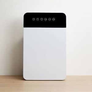 空气净化器 家用杀菌 PM2.5负离子智能净化器 拓客实用礼