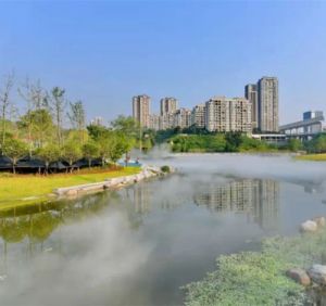 利迪水生态修复水环境治理 水体浑浊黑臭富营养化蓝绿藻爆发处理