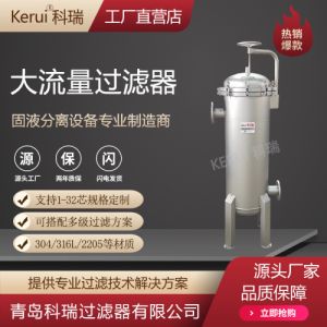 大通量芯式过滤器超滤反洗精密保安过滤器100微米折叠滤芯