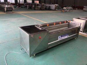 老土豆清洗去皮机田螺去泥去沙设备全自动毛辊清洗机厂家现货