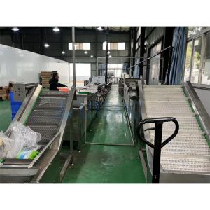 豆腐面条巴氏杀菌线 火锅笋片清水蕨菜巴氏杀菌机 虾酱杀菌设备