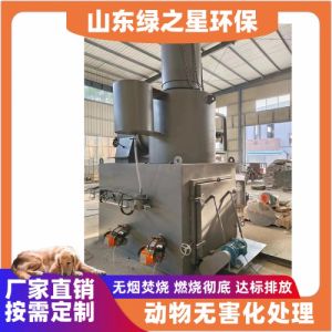 出口海外病死动物焚烧炉 宠物殡葬专用动物尸体火化炉