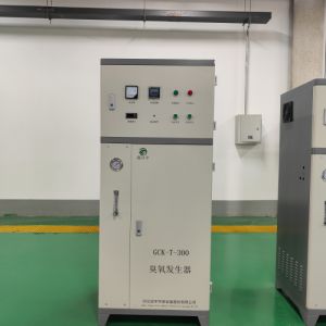 鑫冠宇氧气型臭氧发生器GCY-T-400泳池的水消毒降解COD