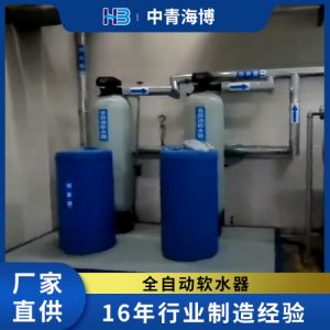 全自动软水器软化水设备 双罐软水装置 家用软水机