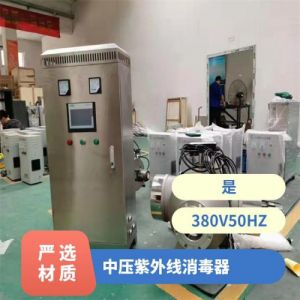 鑫冠宇中压紫外线灭菌器泳池物理消毒高效杀菌316材质耐腐涂层