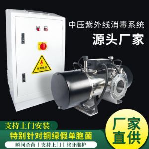中压紫外线消毒设备ZS06 CIP清洗系统用水消杀设备 管道紫外杀菌器