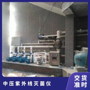 杀菌率99.99％ 功率1kW 定制 中压紫外线灭菌装置 用于标准泳池