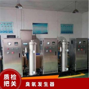 冠宇环保臭氧设备氧气源污水末端加工定制10-20000t/h