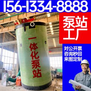 一体化泵站 厂家污水提升泵站 模块化集成泵站 一体化雨水泵站