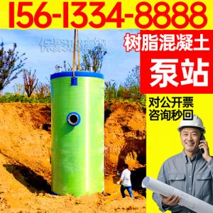 聚合物泵站 地埋式泵站 卧式雨水泵站 树脂混凝土智能 防洪排涝泵站